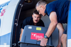 L’équipe AIM de BPF transporte les animaux de compagnie des zones touchées vers des refuges offrant plus d’espace.