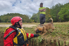 Le partenaire de la BPF, ASAR Training &amp; Response, sauve un chiot échoué dans l’ouest de la Caroline du Nord.