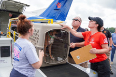 La BISSELL Pet Foundation transporte des animaux de compagnie de la Asheville Humane Society.