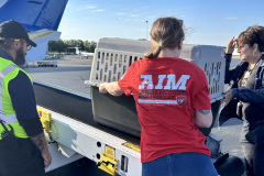 L’équipe AIM de BPF transporte des animaux de compagnie des refuges touchés par un ouragan au Tennessee.