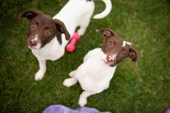 Bissell-Blocktail-2025-214