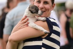 Bissell-Blocktail-2025-231