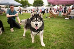 Bissell-Blocktail-2025-246