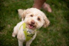 Bissell-Blocktail-2025-283