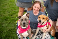 Bissell-Blocktail-2025-338