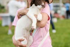 Bissell-Blocktail-2025-433