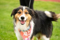 Bissell-Blocktail-2025-72