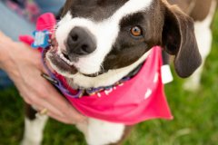 Bissell-Blocktail-2025-74