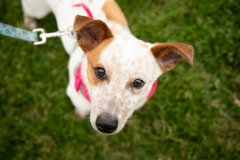 Bissell-Blocktail-2025-80