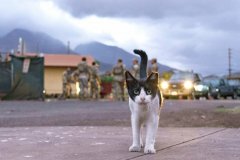 2023-8-28-MHS-Burn-Zone-03133-2