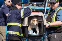 481977941_1044031991095531_8566203504032208677_n