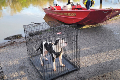 489513293_18492055909014038_8239779190916230035_n