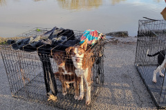 489650334_18492055906014038_707011250981902315_n