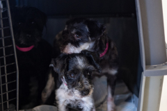 Transfer_7.22.25-208