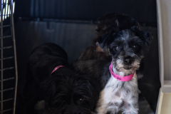 Transfer_7.22.25-212