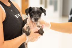 Transfer_7.22.25-256