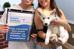May2-Mary-S-Roberts-Pet-Adoption-Center.jpg