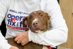 08-18-2025_Huckleberry-1