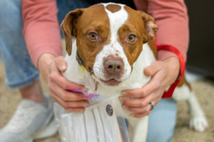 2026-03-23_FTF-Clinic-16