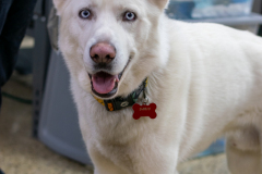 2026-03-23_FTF-Clinic-9