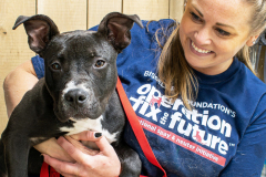 540871799_1244538927713707_4442030686559515502_n