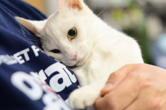 541483158_1244538551047078_8446705177136915782_n