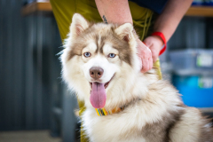 FTF_Clinic_March31-479