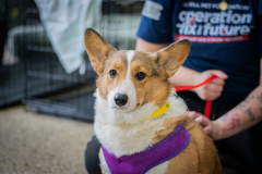 FTF_Clinic_March31-5