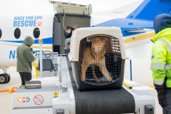 2023_11_29_Transport17