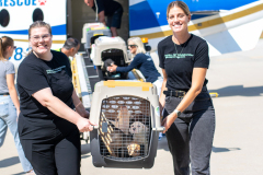 2025-07-21_Transport-1