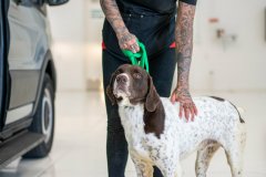 2026-04-22_Transport-11