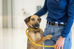 2026-04-22_Transport-3