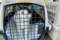 326109214_852260022548911_8672614923081409935_n