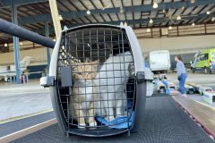 327138195_876596576923039_5021670521852630323_n