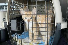 342540780_237577735527460_8867573414414127229_n