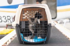 481477802_1089576836543251_3428102541464679180_n