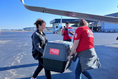 491507941_18494437096014038_4571282094093601475_n