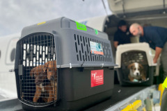 492481149_1139285401572394_2753644174123606549_n