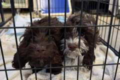 480747295_9802592016431884_9096506455861373272_n