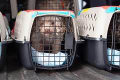 480884053_1044032124428851_4038092971132972679_n