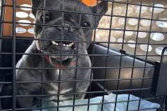 480967401_655395683682497_8985667500874757394_n