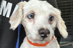 481046727_1195534581940542_7567390865003765661_n