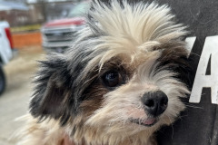 481055381_1195534705273863_3803102586658335145_n