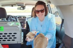 481112913_655395603682505_8529142795522102893_n