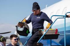 481276058_1044031964428867_6384418576078270221_n