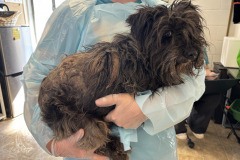 481343214_655395750349157_9106825286435733100_n