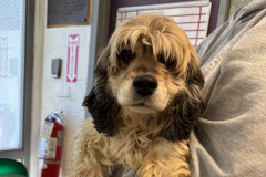 481506307_655395823682483_1099946949017609097_n