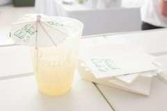 Bissell-Sponsor-2025-15