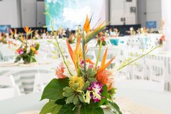 Bissell-Sponsor-2025-3