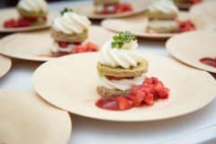 Bissell-Sponsor-2025-40